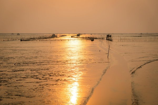 Venez profiter du camping familial à la torche en finistère sud
