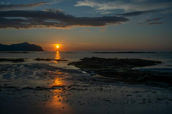 Le charme authentique des gîtes le relay de la source, un havre de paix en vendée